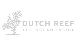 Dutch Reef